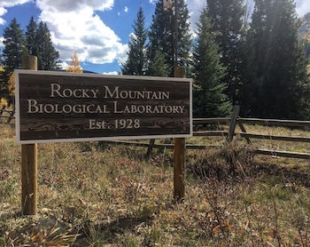 Un letrero de madera con la inscripción Rocky Mountain Biological Laboratory y Est. 1928 se alza entre hierba seca y un bosque de pinos bajo un cielo nublado