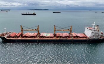 Las exportaciones globales de harina