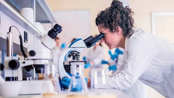 Educación que investiga: la universidad que América Latina necesita