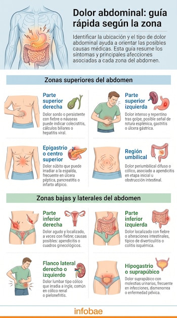 Infografía médica que divide el abdomen humano en ocho zonas, cada una con un ejemplo de dolor, órgano y sus posibles causas.