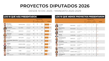 Cuántos proyectos llevan presentados los diputados que ingresaron en diciembre