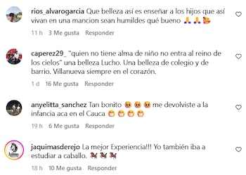 La reacción en las redes