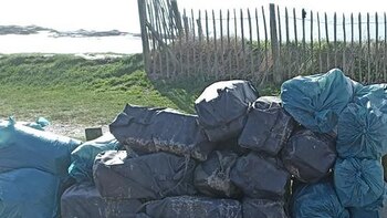 Un nuevo “tsunami blanco” en