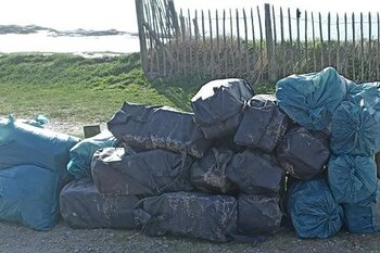 En total, se hallaron 2,3