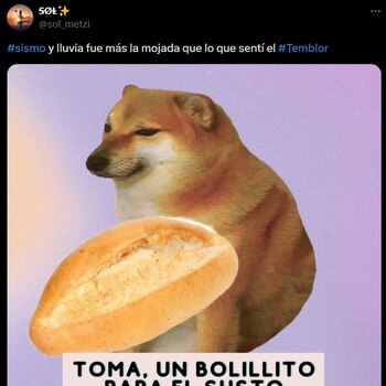 Estos son los mejores memes
