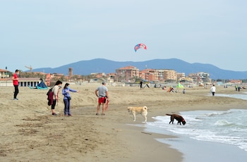 Personas en la playa en