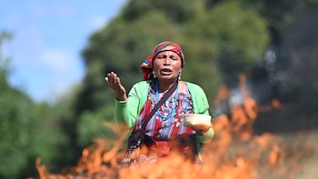 En fotos: Comunidad Indígena de Guatemala celebra su día internacional