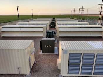 Así son los campos de