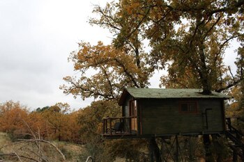 Fotografía de una cabaña en