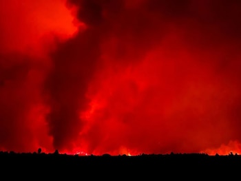 Algunos de los focos de