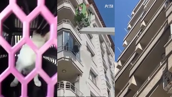 Este fue el edficio donde