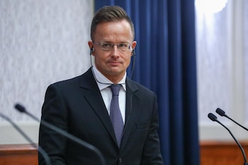 Imagen SM254Z4KWVB6NNYHFWPWSSW7RM