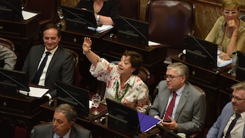 La senadora tucumana Beatriz Mirkin