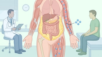 Cuerpo humano transparente con órganos internos, tejido adiposo abdominal, músculos. Moléculas de glucosa en el torrente sanguíneo. Médico y paciente sentados.