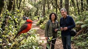 Un ave de plumaje rojo sobre una rama junto a un hombre y una mujer con binoculares en un sendero entre árboles.