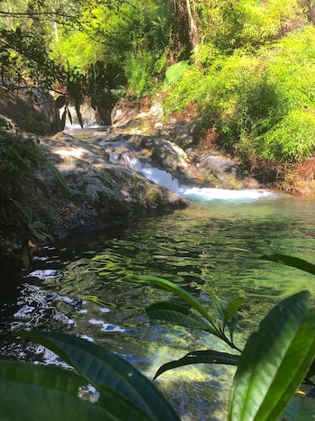 Una información difundida por la cartera turística identifica rutas y requisitos en áreas como Jaragua y Bahoruco, donde se detallan actividades para observadores de aves y senderistas en diferentes condiciones climáticas (Foto cortesía Reserva Científica Ébano Verde)