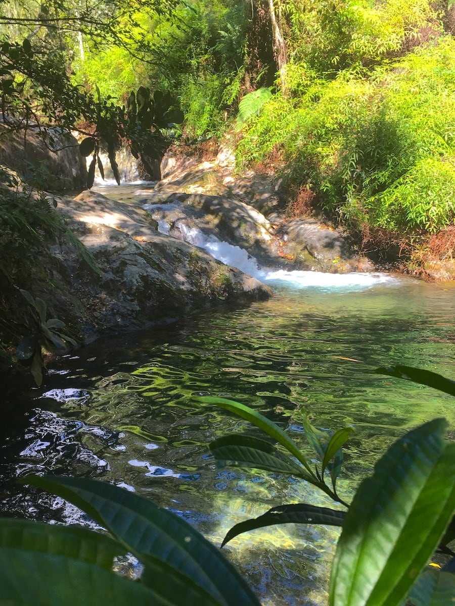 Una información difundida por la cartera turística identifica rutas y requisitos en áreas como Jaragua y Bahoruco, donde se detallan actividades para observadores de aves y senderistas en diferentes condiciones climáticas (Foto cortesía Reserva Científica Ébano Verde)