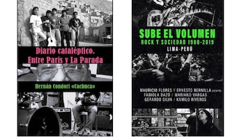 Dos portadas de libros en blanco y negro. La primera es 'Diario cataléptico', la segunda es 'Sube el volumen', con fotografías de bandas y público