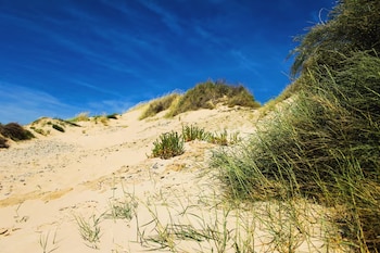 Las dunas costeras actúan como