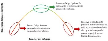 Efecto del entrenamiento siguiendo una