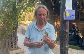 El caimán encontrado por la Policía Nacional en una redada en Sevilla. (Mundopark Fundación Juan Luis Malpartida/Facebook)