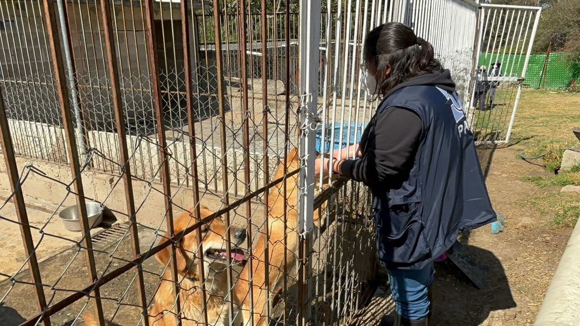 Un juez dictó una serie de medidas a favor del Refugio Franciscano. | Gobierno de CDMX