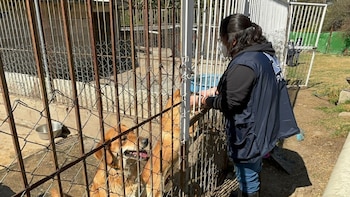 Juez dicta medidas a favor