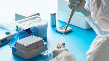 "Los resultados positivos de la