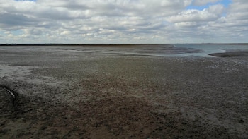 El estuario de Bahía Blanca,