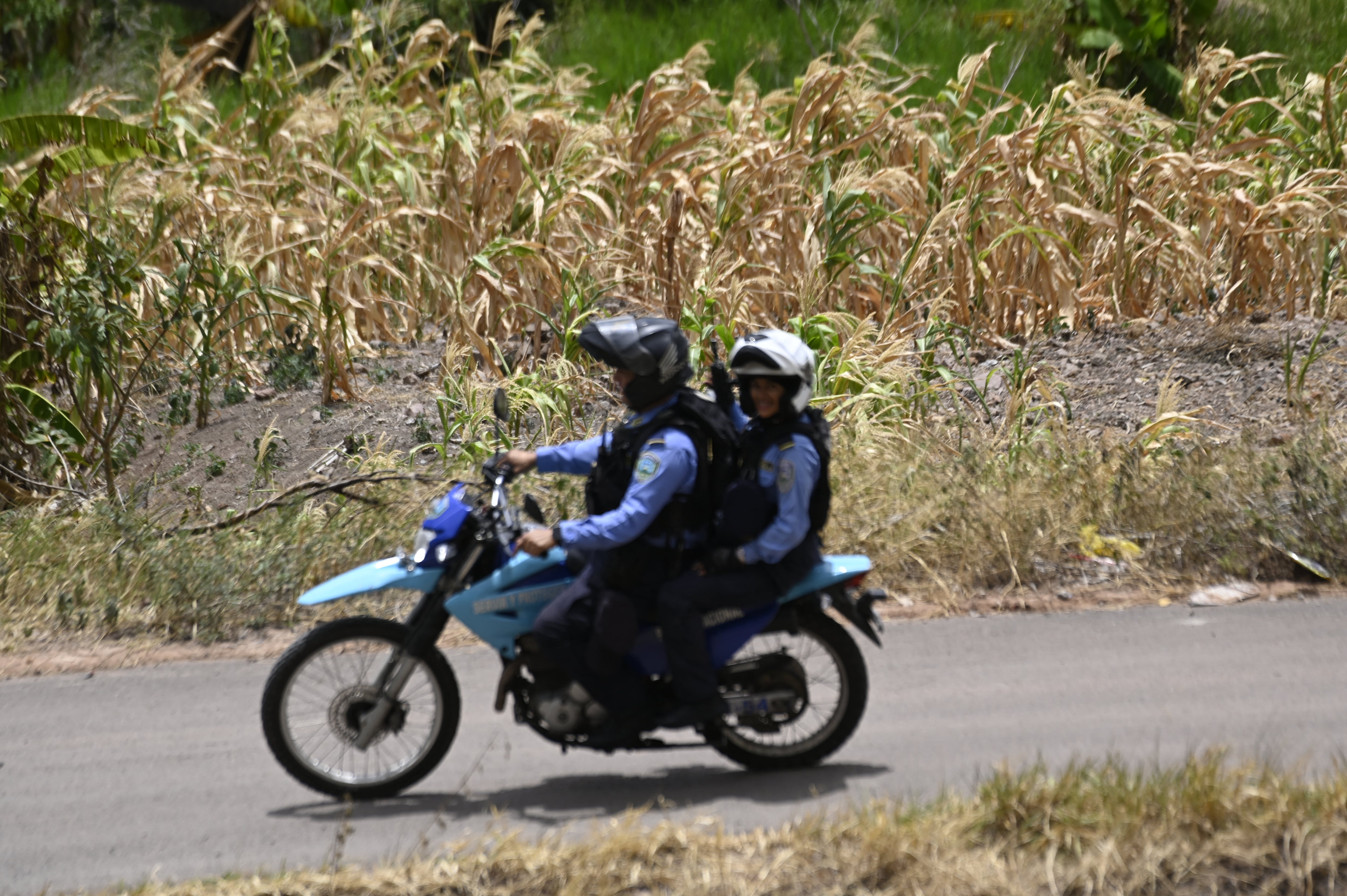 Algunos de los municipios en emergencia han comenzado a recibir ayuda del Programa Mundial de Alimentos (WFP, en inglés) y del Gobierno, que asegura que todavía no hay una situación de hambruna. (Infobae Centroamérica/ Orlando SIERRA / AFP)