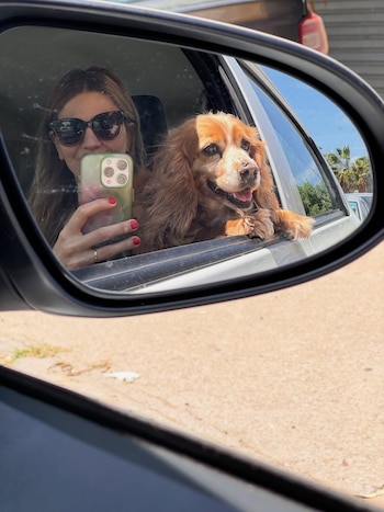 Reflejo en espejo lateral de coche: mujer con gafas de sol se toma una selfie con un perro de pelaje claro asomado por la ventanilla del vehículo