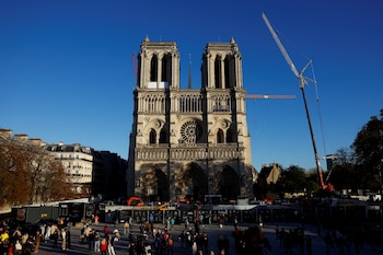 Se ven grúas alrededor de