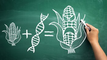 La amplia adopción de cultivos