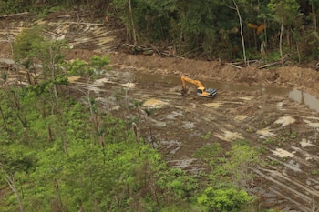 Las autoridades ambientales atendieron en 2025 varias denuncias por tala, rellenos y cambios ilegales de uso de suelo en humedales del país, lo que derivó en paralizaciones de obras y procesos sancionatorios. Cortesía