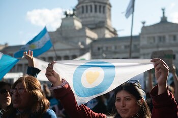 El Congreso nacional debatirá Ficha