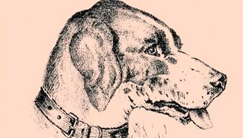 Ilustración de un hombre oculta