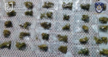 La evidencia fue remitida al