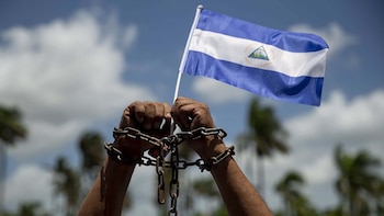 Al menos 46 opositores y