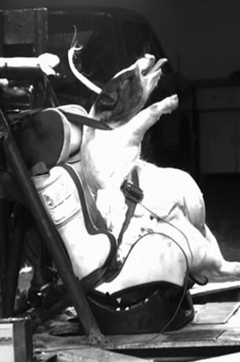 (International Journal of Crashworthiness)