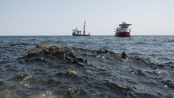 Acuerdo entre Petrobras y Pemex pone en riesgo al Golfo de México: Oceana alerta por expansión petrolera