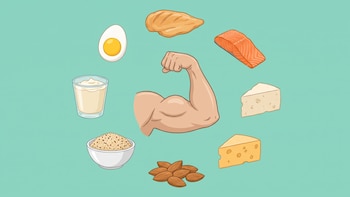 Por qué aumentar la proteína en la dieta no alcanza para ganar músculo, según expertos y estudios recientes