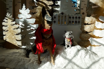 Existen algunas claves que se