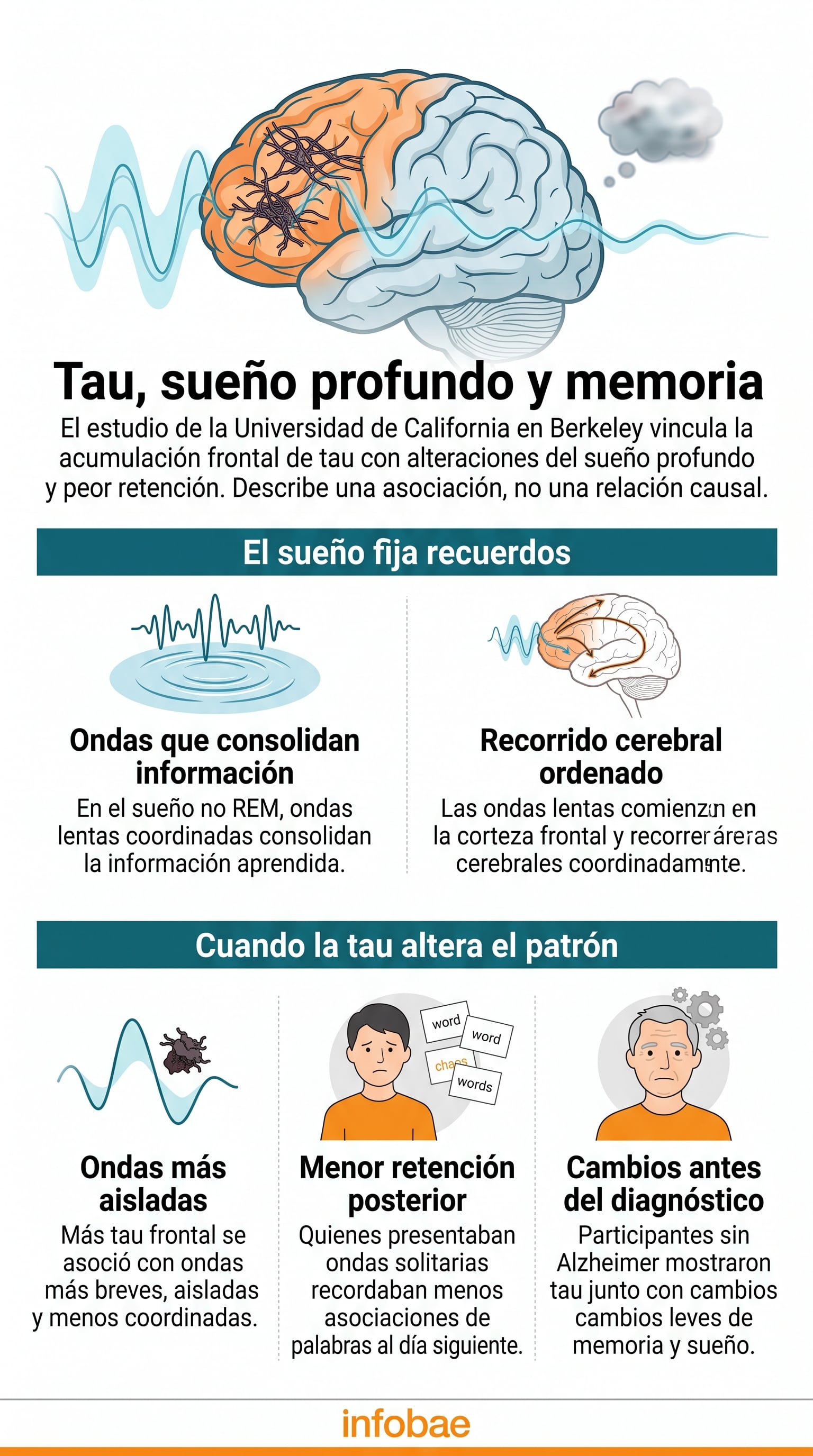 La investigación publicada en Nature Neuroscience halló que una mayor presencia de tau en la corteza frontal se asocia con ondas lentas menos sincronizadas (Imagen Ilustrativa Infobae)