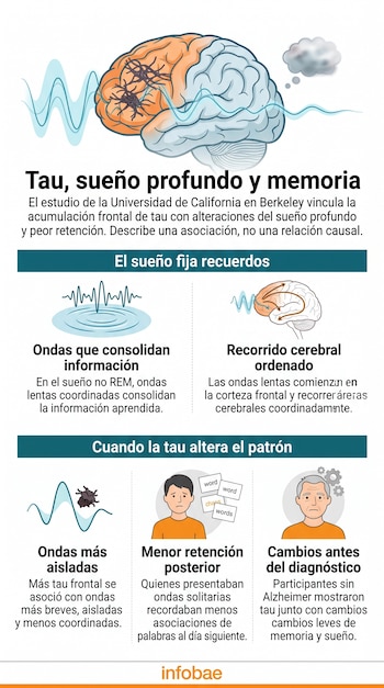 Infografía con ilustraciones de un cerebro, esquemas de ondas cerebrales, rostros masculinos e iconos con texto informativo.