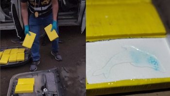 Con destino a Europa vía Bolivia: Dinandro incauta 84 kilos de cocaína con marca de delfín durante operativo en Ayacucho