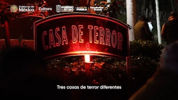 Letrero iluminado de color rojo con las palabras Casa de terror colocado sobre plantas durante la noche
