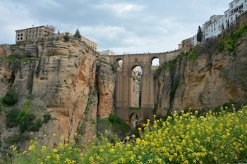 Puente de piedra sobre un barranco rocoso con edificaciones en la cima y plantas con flores amarillas en primer plano
