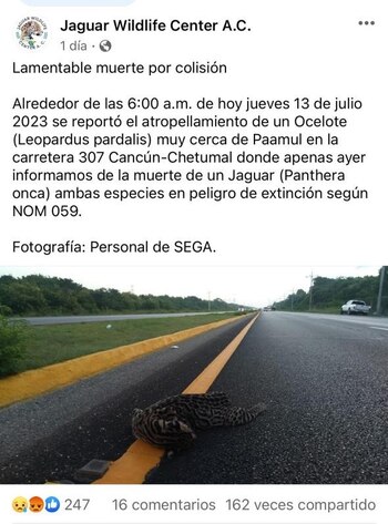 Denuncia por la muerte de