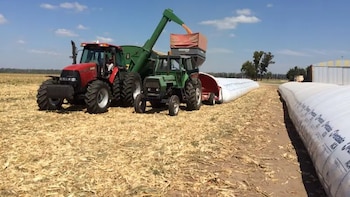 La poscosecha, el nuevo campo