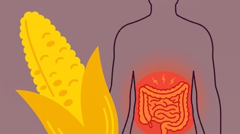 Mazorca de maíz amarilla. Silueta humana de torso con abdomen sombreado en rojo y naranja, líneas onduladas, puntos y símbolos de relámpago.